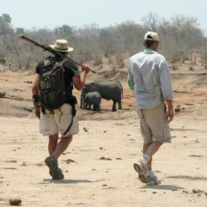 Walking in single file through open bush with elephant ahead