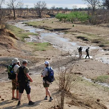 A line of walkers crossing a dry riverbed