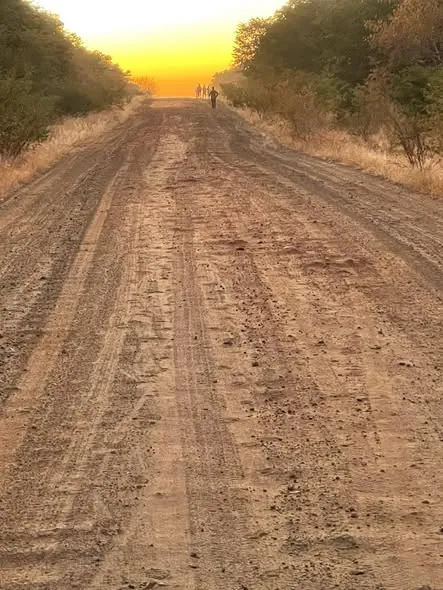 A dirt road into the sunrise