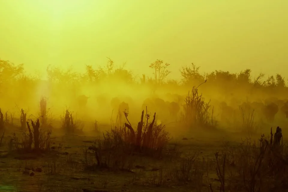 Sunrise through the dust in the bush near Victoria Falls