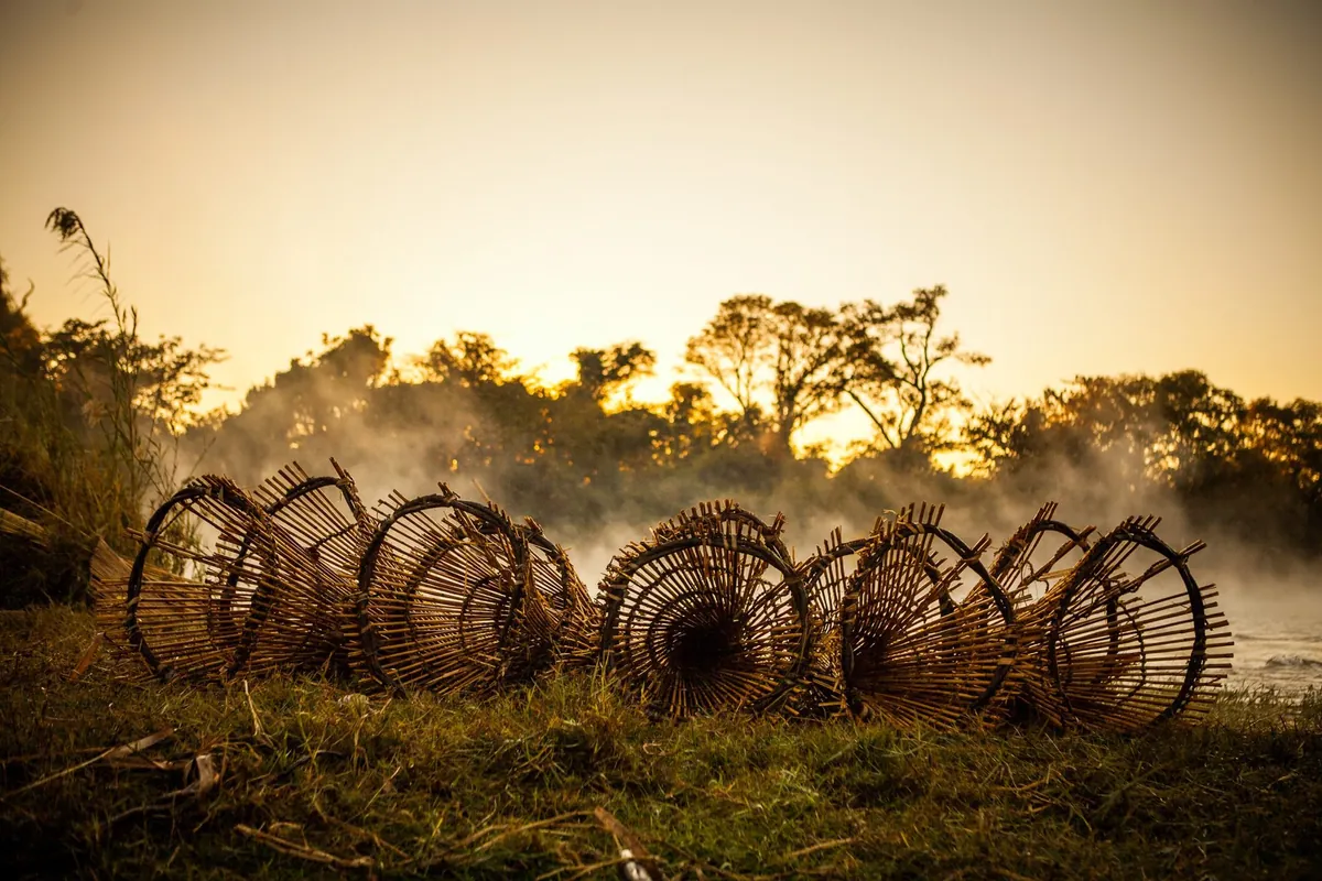 Fish traps at dawn on the Zambezi